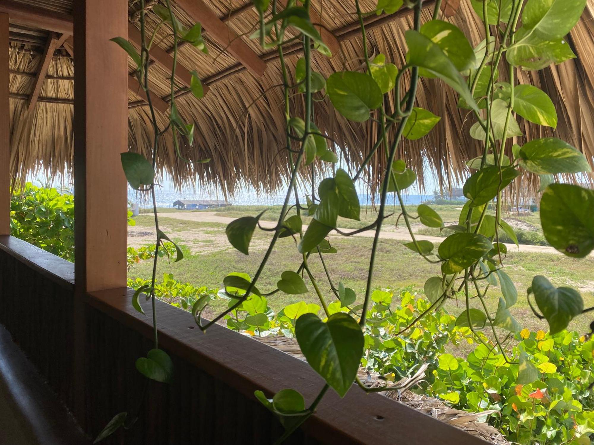 El Origen Villas & Spa-Puerto Escondido Puerto Escondido  Exterior photo