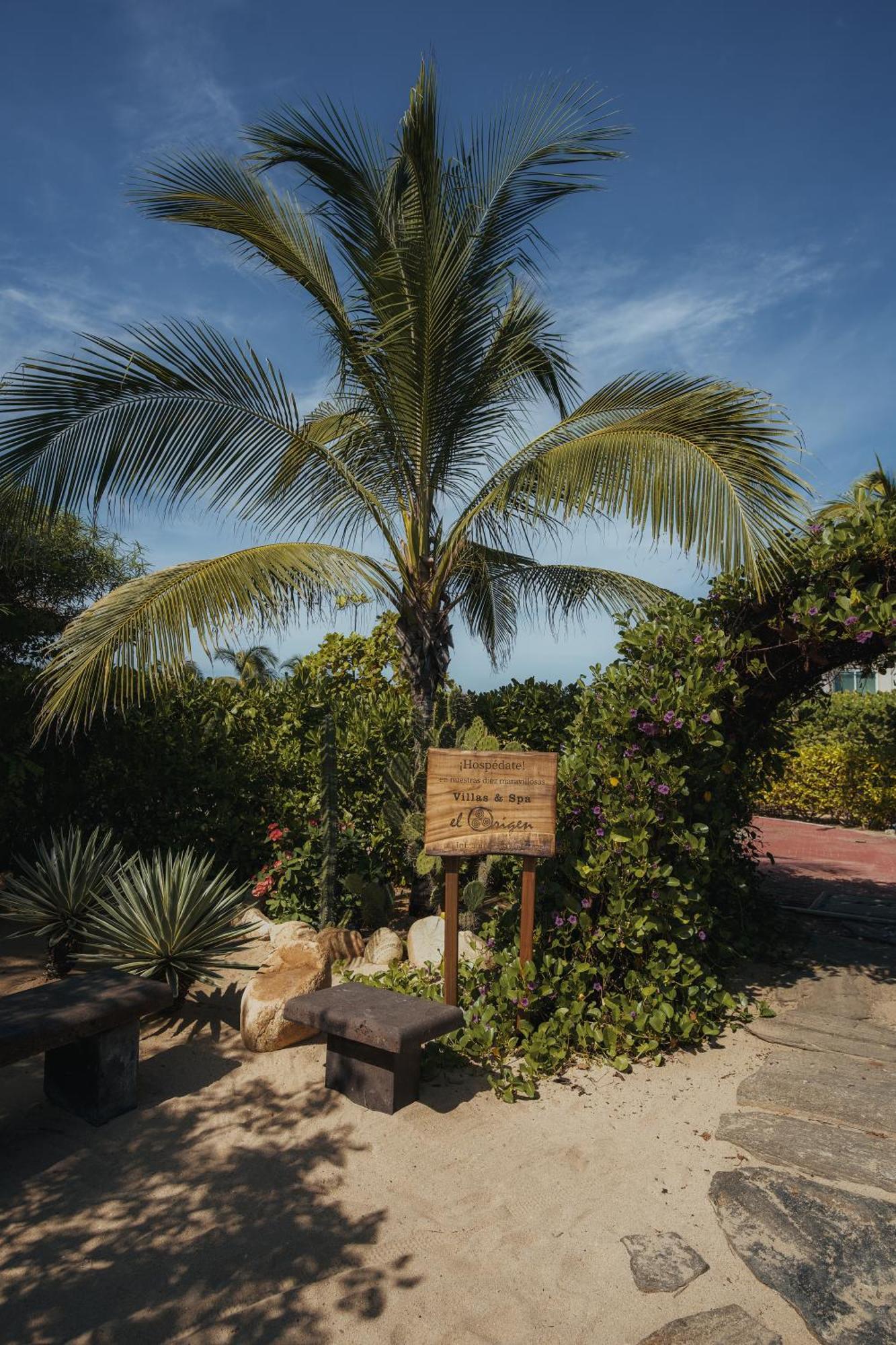 El Origen Villas & Spa-Puerto Escondido Puerto Escondido  Exterior photo